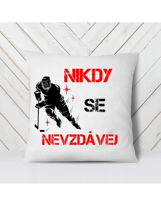 nikdy se nevzdávej, motivační dárkové předměty
