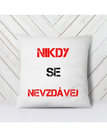nikdy se nevzdávej, motivační dárkové předměty